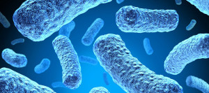 Analisi della legionella nell'acqua