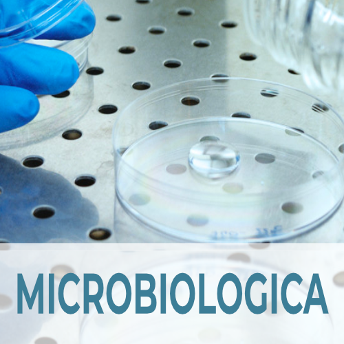 5/5 Analisi microbiologica