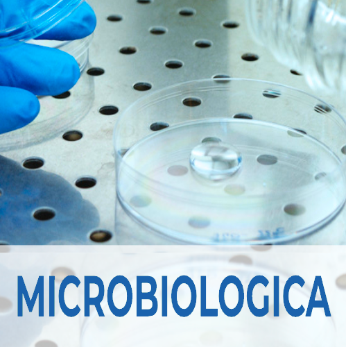 5/5 Analisi microbiologica